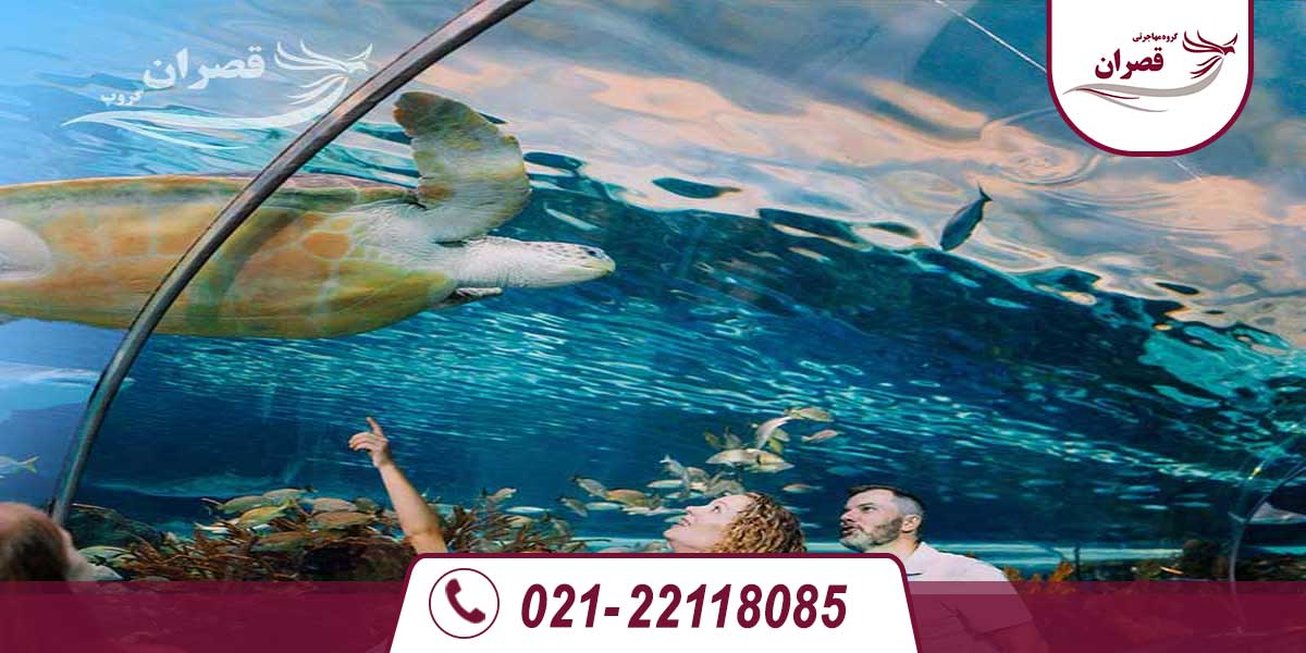 جاهای دیدنی تورنتو